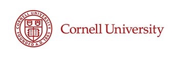 Mentor Home page university4